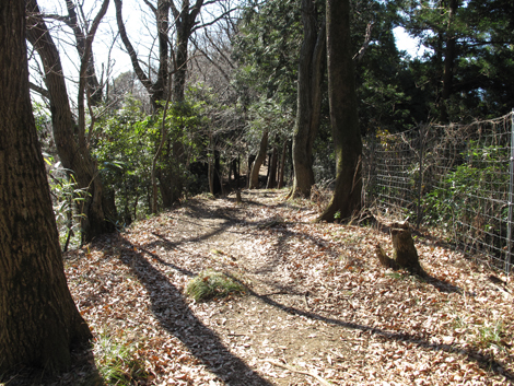 20170126hike (116)
